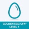 Your new best friend in learning Golden Egg CFA® Exam Level 1 Practice Test Pro takes test preparation to a new level