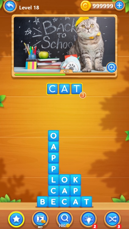 Word Swipe Pic
