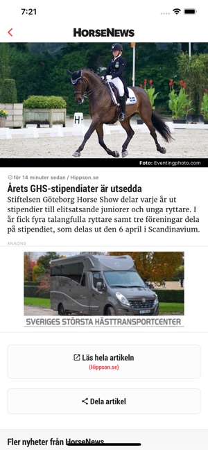 Hippson HorseNews