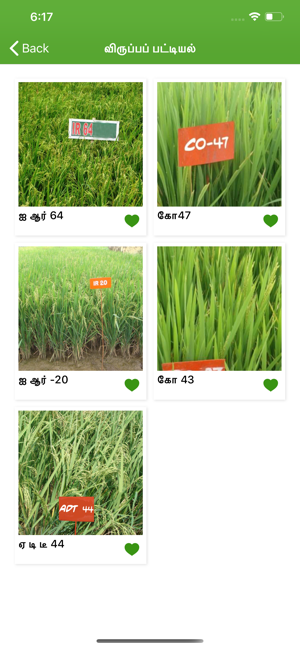 Paddy Varieties(圖7)-速報App