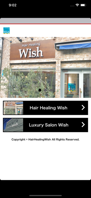 Hair Healing Wish