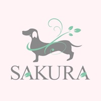 ビューティーメイクさくら-グリーンピール- pour PC