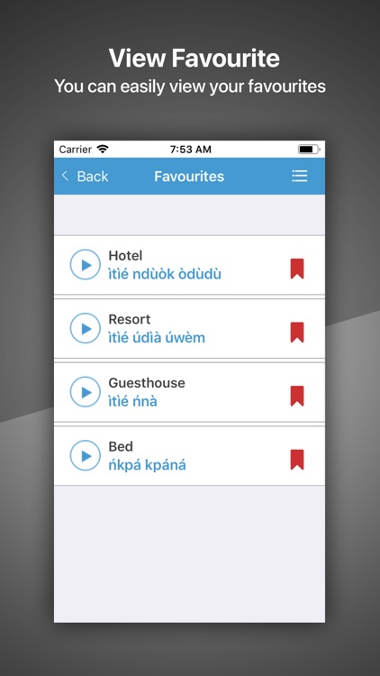 Speak Efik and Ibibio screenshot-4