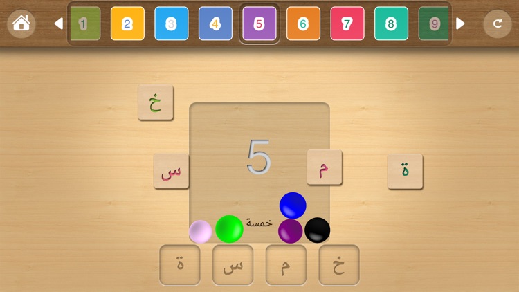 Learn Arabic Words & Alphabet screenshot-4