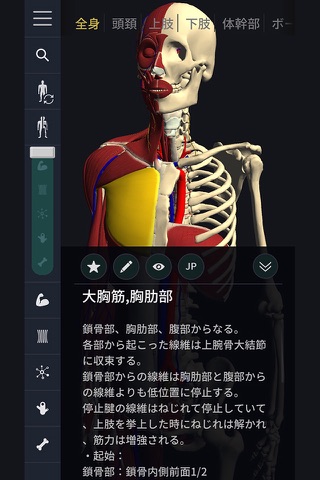 3D motion anatomy teamLabBody screenshot 3