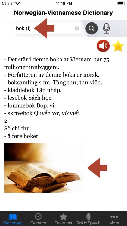 Norwegian-Vietnamese Dict. Pro screenshot-4