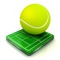 Play the 4 Grand Slam Tournaments in this higly realistic tennis game