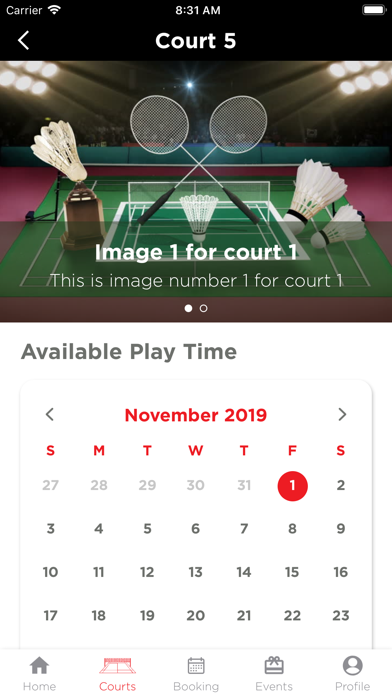 Badminton Arena screenshot 4