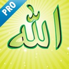 Top 36 Reference Apps Like 99 Names of Allah (Pro) - Best Alternatives