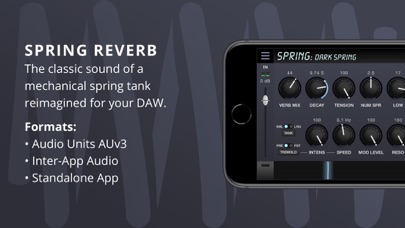 Spring Reverb screenshot1