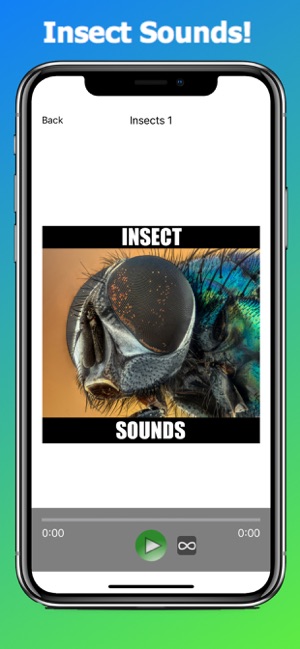 Insect Sounds(圖1)-速報App