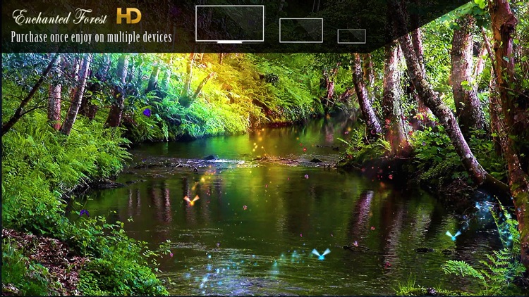 Enchanted Forest HD