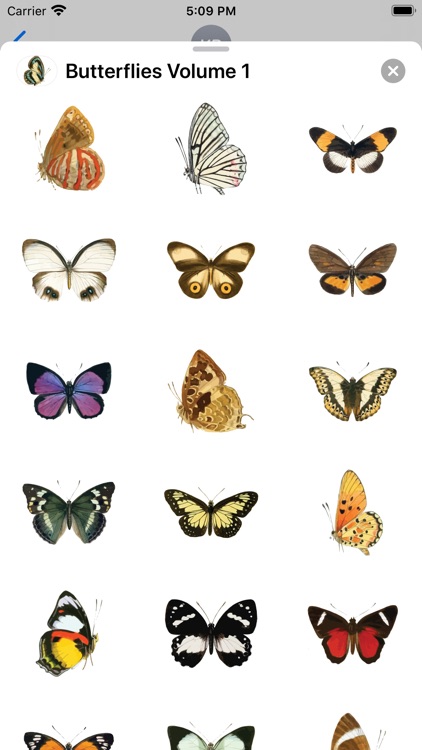 Butterflies Volume 1 screenshot-3