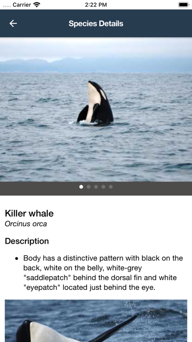 How to cancel & delete WhaleReport from iphone & ipad 3