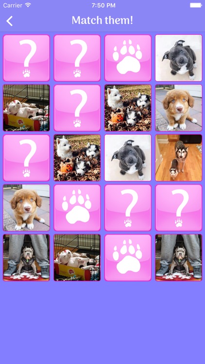 Cute Dogs Memory Match Game