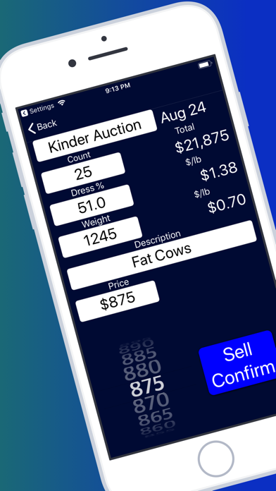 Stock-Sale Calculator screenshot 3