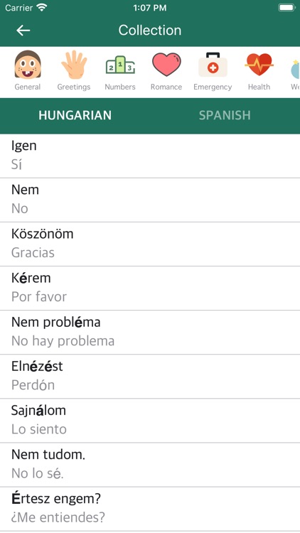 Hungarian Spanish Dictionary