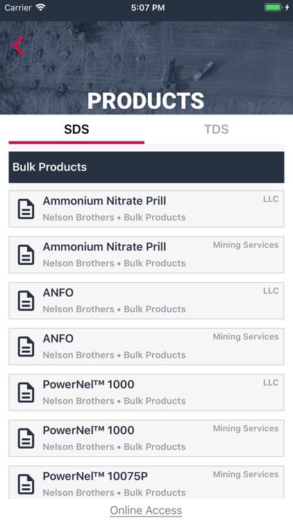 Nelson Brothers screenshot-4