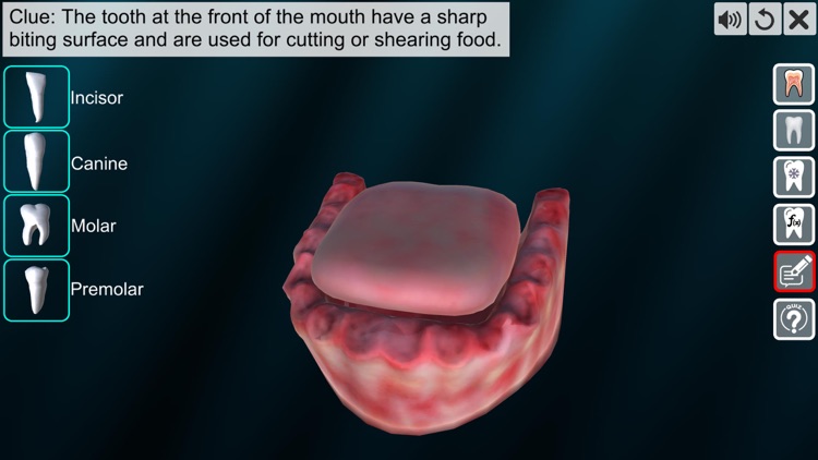 Incredible Human Teeth screenshot-5