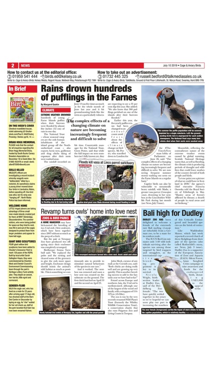 Cage & Aviary Birds