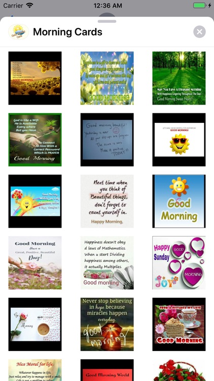 Morning Cards screenshot-5