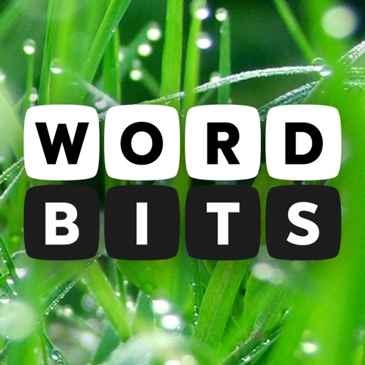 Word Bits: A Word Puzzle Game