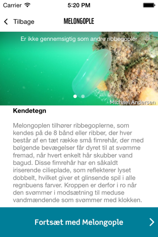 Opdag Havet screenshot 2