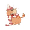 Sticker Me: Funny Cat