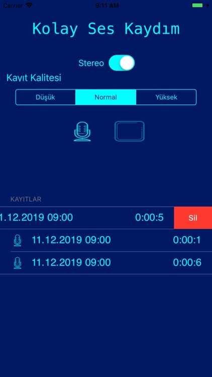Kolay Ses Kaydım screenshot-4