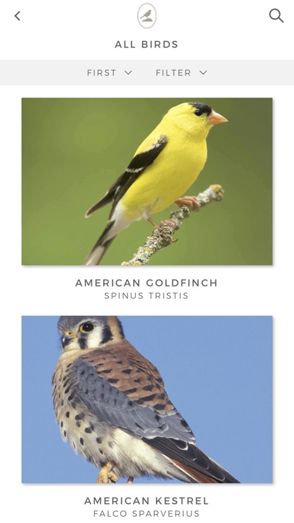 Fieldstone Guide: Birds