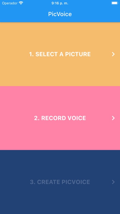 PicVoice: Pictures with voice!