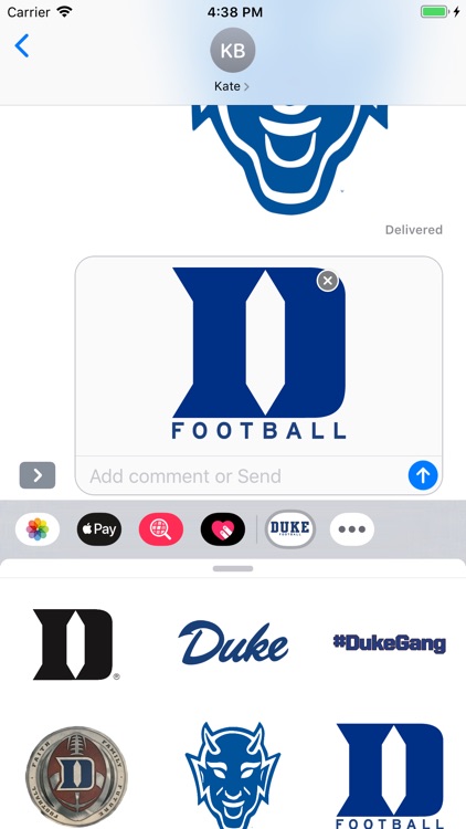 Duke Stickers