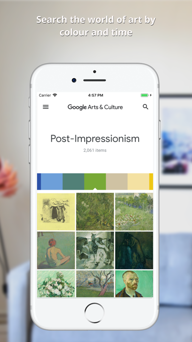 Google Arts & Culture Screenshot 5