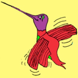 Janie and the Hummingbird