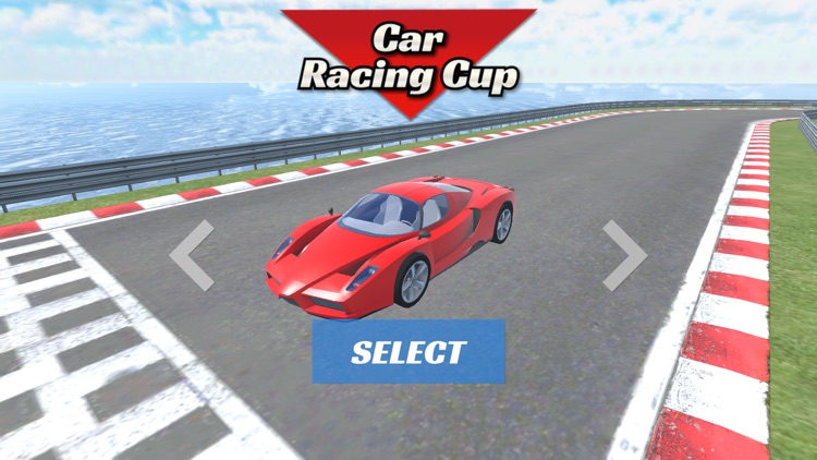 Car Racing Cup 3D