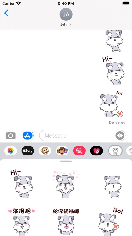 DailyLifeLovelySchnauzer