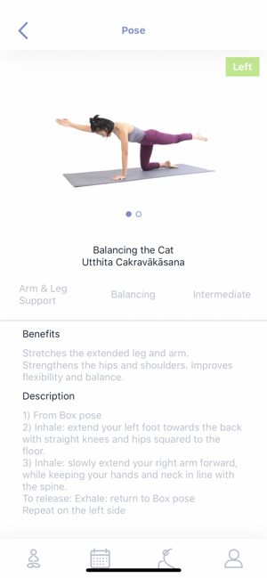 Flow Yoga - Basic For Beginner(圖4)-速報App