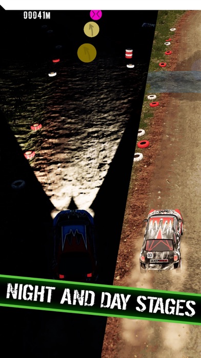 Rally Runner screenshot 2