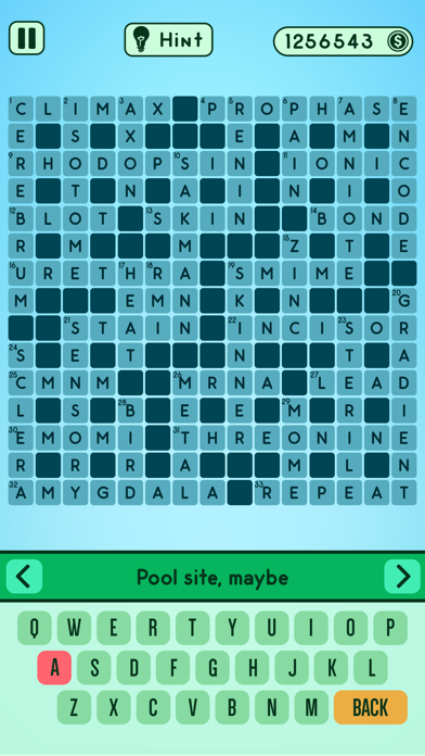 Cross Word Puzzle Master Fill screenshot 4