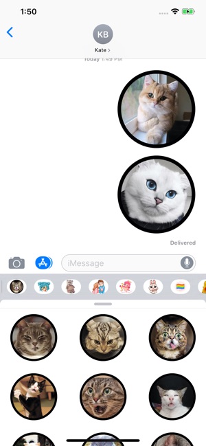 Funny Cats Sticker Pack(圖3)-速報App