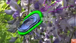 Game screenshot 3D细胞结构（动物，植物，原核生物) hack