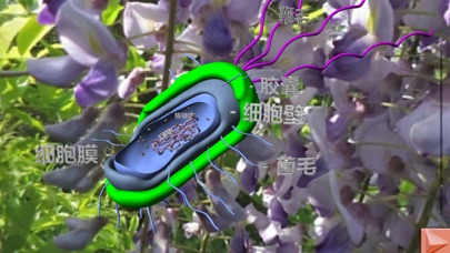 How to cancel & delete 3D细胞结构（动物，植物，原核生物) from iphone & ipad 3