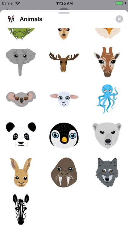 Illustrated Animal Stickers