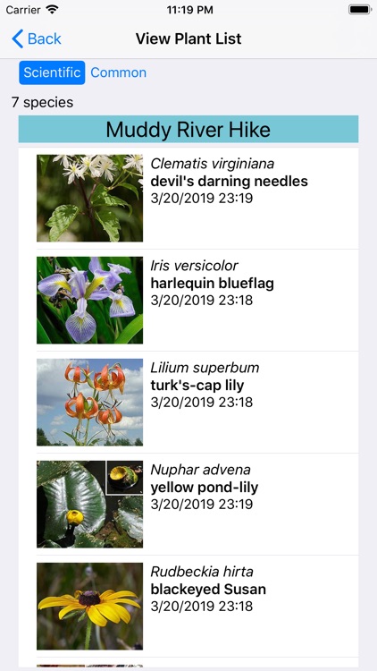 New England Wildflowers screenshot-7