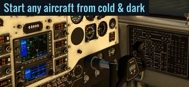 ?X-Plane Flight Simulator Screenshot