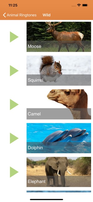 Animal Ringtones & Sounds on the App Store