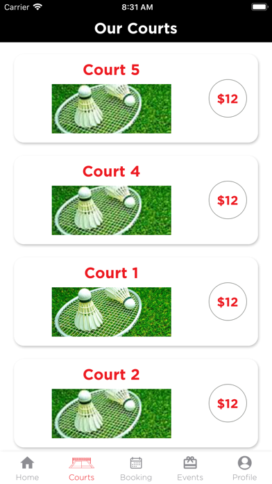 Badminton Arena screenshot 3