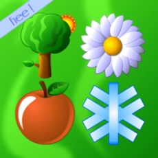 Activities of Parks Seasons - Logic Game