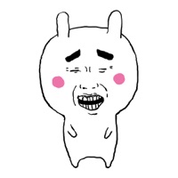 Irresistible cute bunny