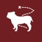 Voted #1 campus app for Mississippi State University